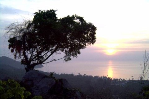 Земельный участок в Тау, Таиланд 22400м2  № 164698 - фото 2