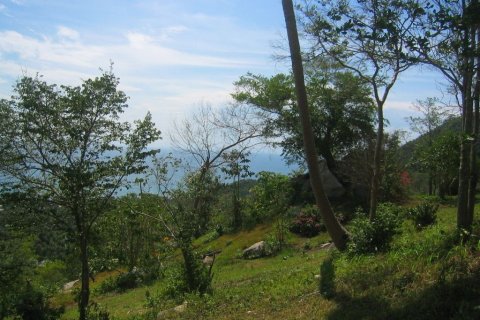 Земельный участок в Тау, Таиланд 22400м2  № 164698 - фото 5