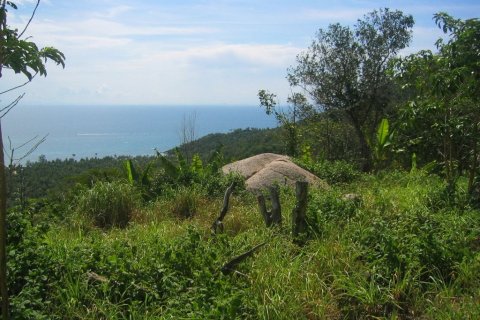 Земельный участок в Тау, Таиланд 22400м2  № 164698 - фото 4