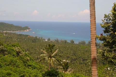 Земельный участок в Тау, Таиланд 22400м2  № 164698