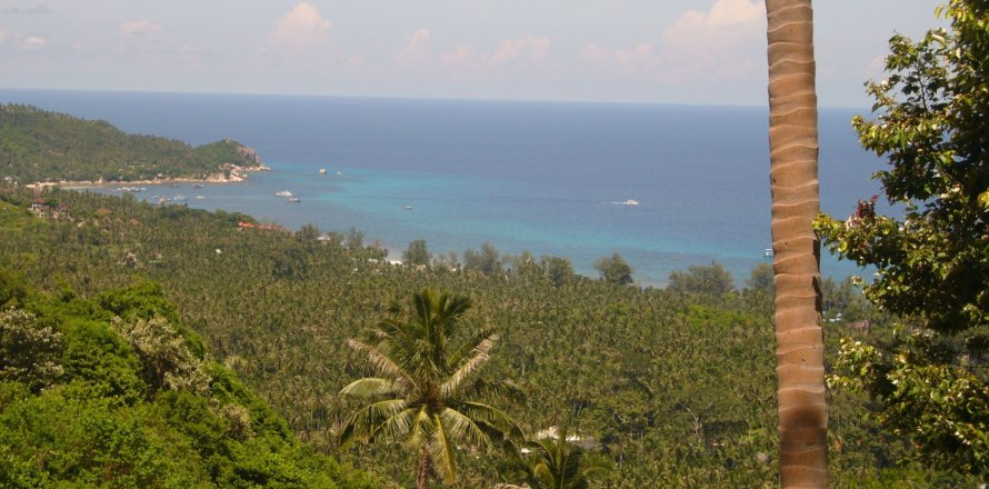 Земельный участок в Тау, Таиланд 22400м2  № 164698