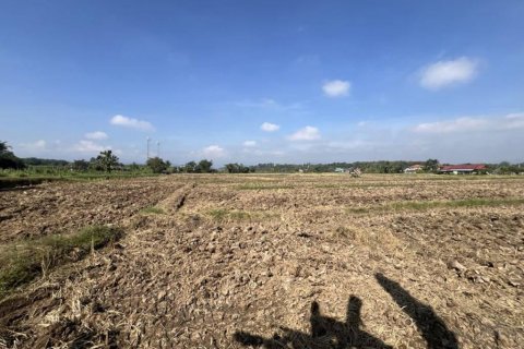 Land in Chiang Rai, Thailand № 119009 - photo 10