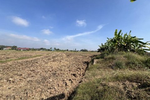 Land in Chiang Rai, Thailand № 119009 - photo 9