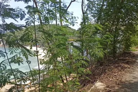 Land in Ko Samui, Thailand 1150 sq.m. № 169265 - photo 6