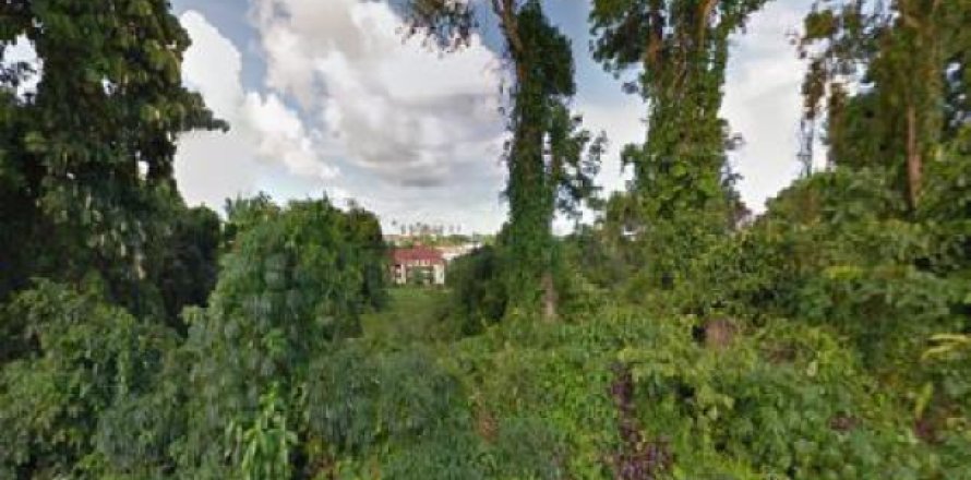 Land in Rawai, Thailand 11096 sq.m. № 192910