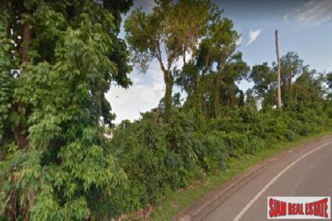 Land in Rawai, Thailand 11096 sq.m. № 192910 - photo 4