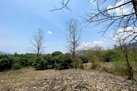 Terrain à Mae On, Thaïlande 24000 m2 № 162032 - photo 3