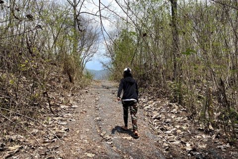 Terrain à Mae On, Thaïlande 24000 m2 № 162032 - photo 5