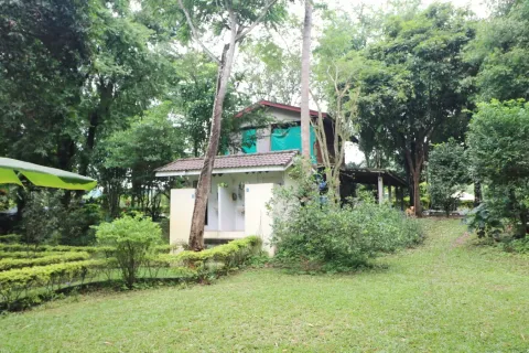 Земельный участок в Лейе, Таиланд 28425.6м2  № 163405 - фото 24