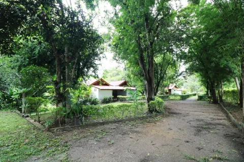 Земельный участок в Лейе, Таиланд 28425.6м2  № 163405 - фото 13