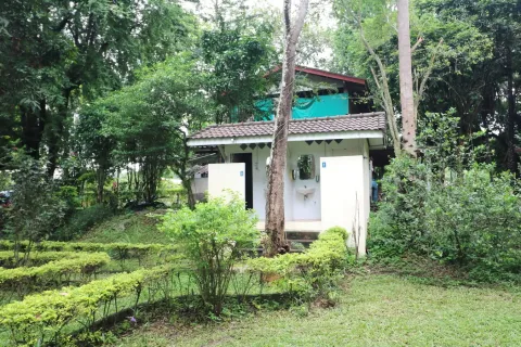 Земельный участок в Лейе, Таиланд 28425.6м2  № 163405 - фото 25