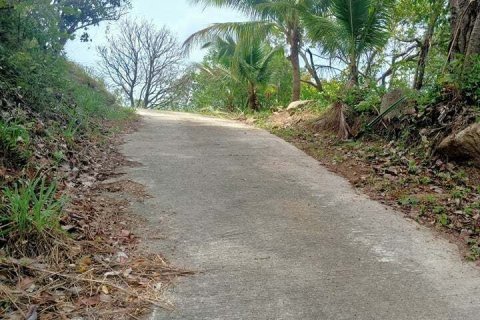 Земельный участок в Самуи, Таиланд 12000м2  № 164585 - фото 4