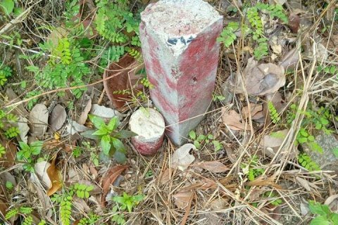 Земельный участок в Самуи, Таиланд 12000м2  № 164585 - фото 5