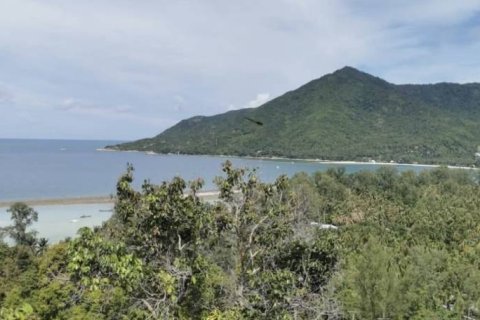 Terrain à Surat Thani, Thaïlande № 158734 - photo 2