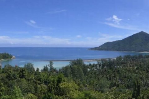 Terrain à Surat Thani, Thaïlande № 158734