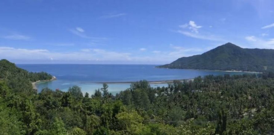 Terrain à Surat Thani, Thaïlande № 158734