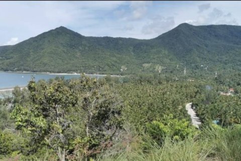 Terrain à Surat Thani, Thaïlande № 158734 - photo 3