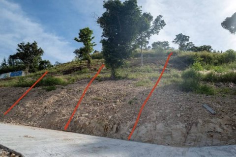 Terrain à Surat Thani, Thaïlande № 158734 - photo 4