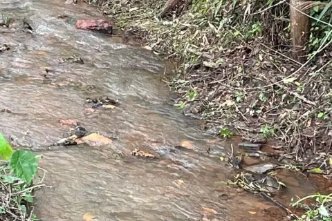 Land in Kathu, Thailand 1372 sq.m. № 171016 - photo 7