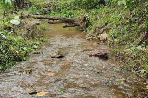 Land in Kathu, Thailand 1372 sq.m. № 171016 - photo 5