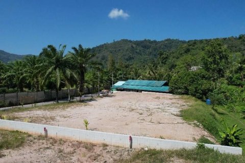 Land in Kathu, Thailand 1372 sq.m. № 171016 - photo 14