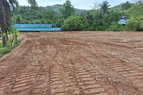 Land in Kathu, Thailand 1372 sq.m. № 171016 - photo 3