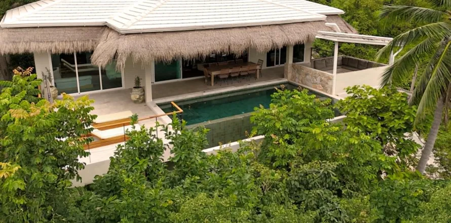 Villa à Surat Thani, Thaïlande 4 chambres № 171860