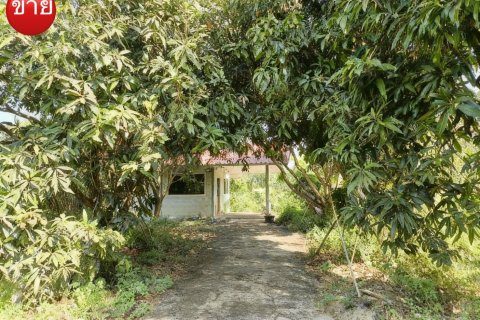 Terrain à Nonthaburi, Thaïlande 1364 m2 № 171857 - photo 3