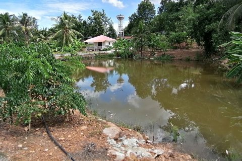 Земельный участок в Пхетбури, Таиланд 9600м2  № 161220 - фото 6