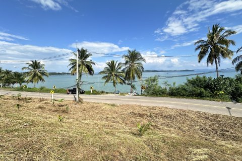 Terrain à Pa Klok, Thaïlande 3200 m2 № 161221 - photo 11