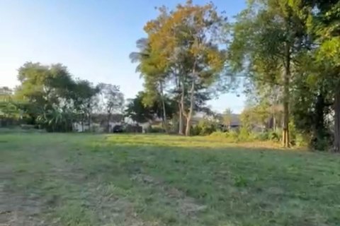 Terrain à Ko Samui, Thaïlande 531 m2 № 159079 - photo 13