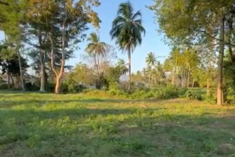 Terrain à Ko Samui, Thaïlande 531 m2 № 159079 - photo 2