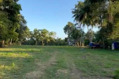 Terrain à Ko Samui, Thaïlande 531 m2 № 159079 - photo 6