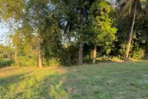 Terrain à Ko Samui, Thaïlande 531 m2 № 159079 - photo 16