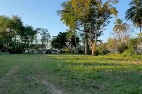 Terrain à Ko Samui, Thaïlande 531 m2 № 159079 - photo 5