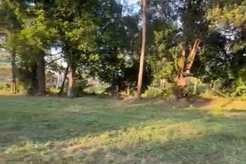 Terrain à Ko Samui, Thaïlande 531 m2 № 159079 - photo 4