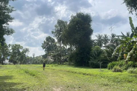 Земельный участок в Самуи, Таиланд 531м2  № 159079 - фото 14