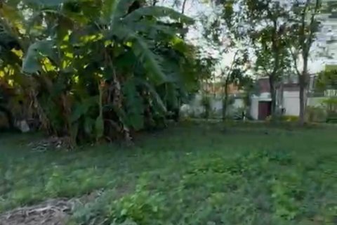 Terrain à Ko Samui, Thaïlande 531 m2 № 159079 - photo 8