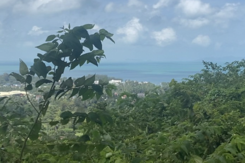 Terrain à Ko Samui, Thaïlande 1200 m2 № 171149 - photo 5