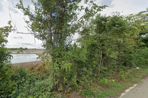 Земельный участок в Чачоенгсао, Таиланд 22400м2  № 159501 - фото 4