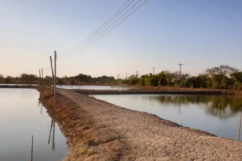 Земельный участок в Чачоенгсао, Таиланд 22400м2  № 159501
