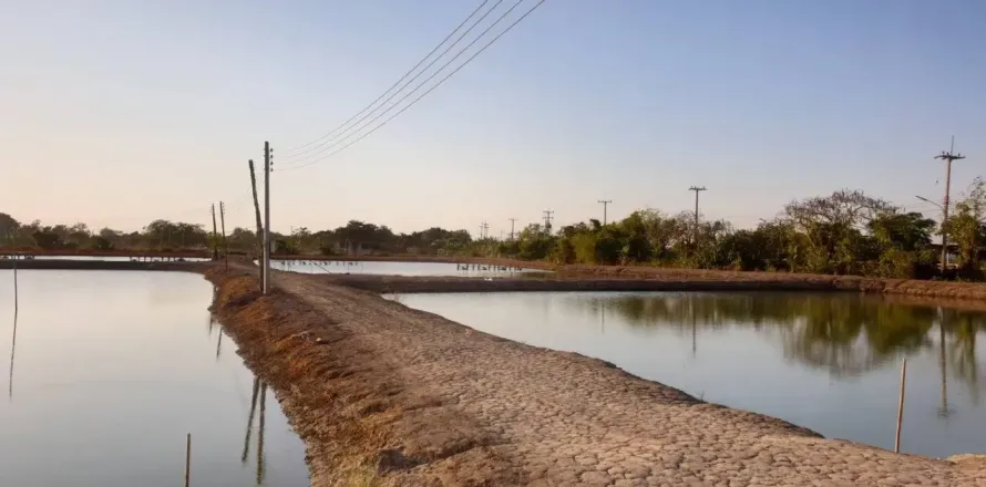 Земельный участок в Чачоенгсао, Таиланд 22400м2  № 159501