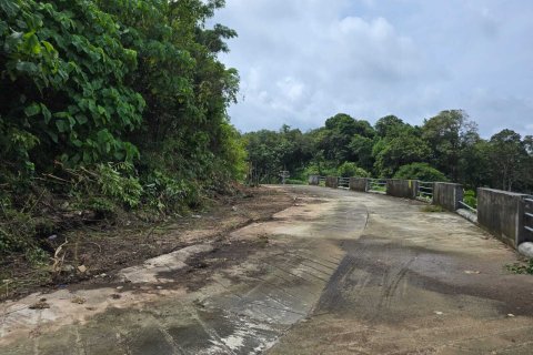 Земельный участок в Кату, Таиланд 3200м2  № 151181 - фото 5