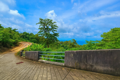 Terrain à Kathu, Thaïlande 3200 m2 № 151181 - photo 4