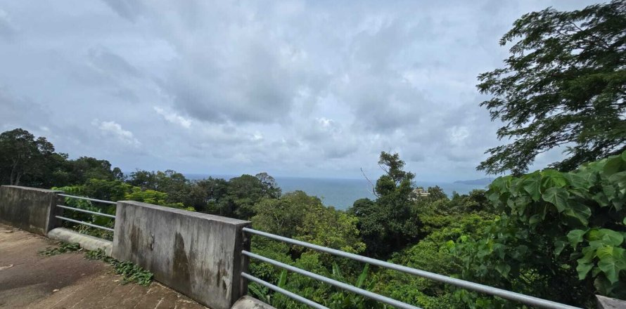 Земельный участок в Кату, Таиланд 3200м2  № 151181