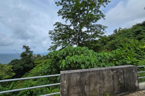 Земельный участок в Кату, Таиланд 3200м2  № 151181 - фото 3