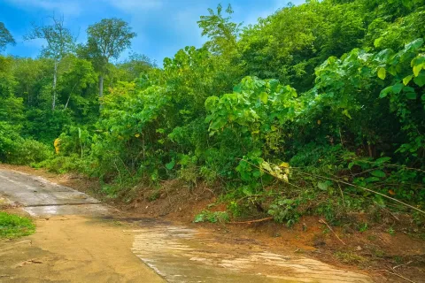 Terrain à Kathu, Thaïlande 3200 m2 № 151181 - photo 3
