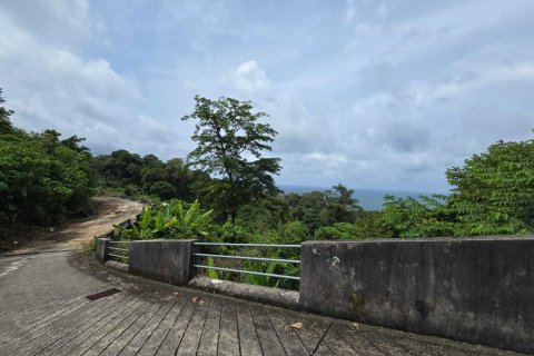 Земельный участок в Кату, Таиланд 3200м2  № 151181 - фото 6