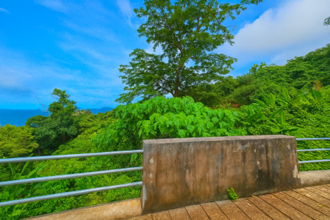 Terrain à Kathu, Thaïlande 3200 m2 № 151181 - photo 5