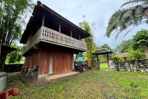 Земельный участок в Чиангмае, Таиланд 160м2  № 149590 - фото 1